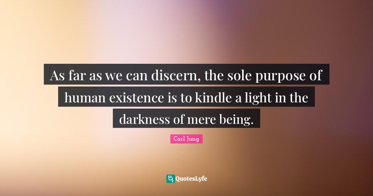 As far as we can discern, the sole purpose of human existence is to ki