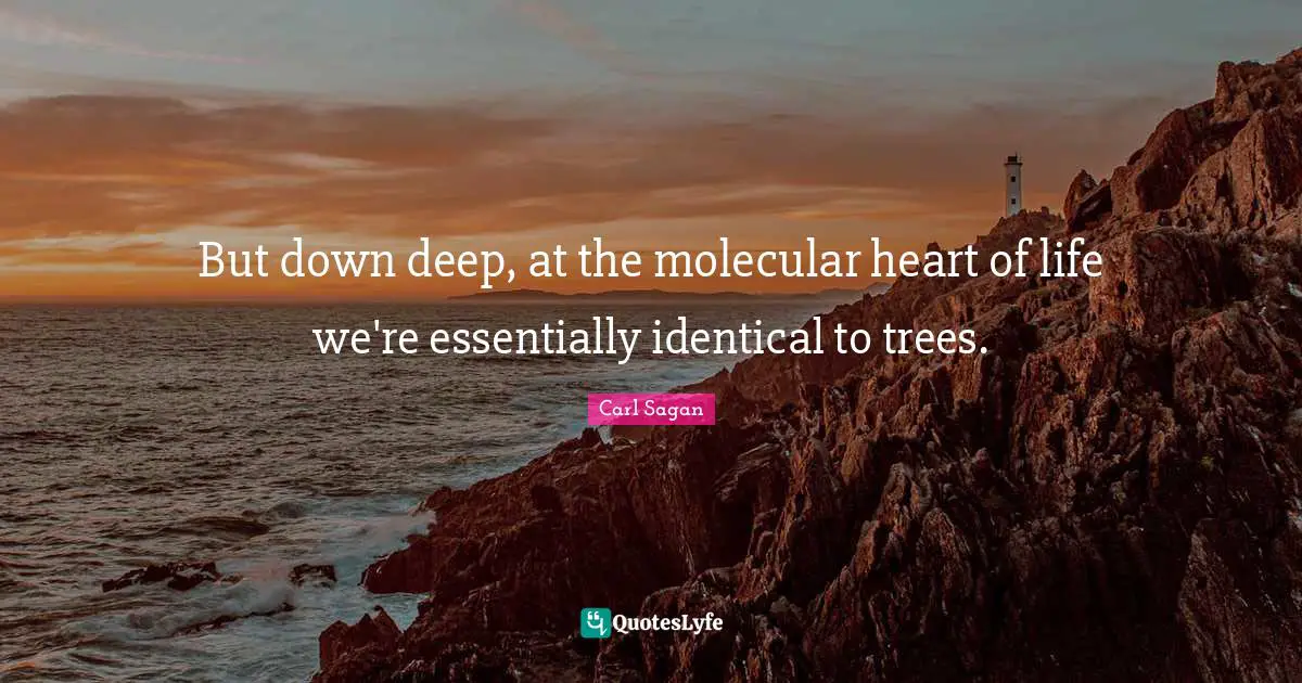 But down deep, at the molecular heart of life we're essentially identical to trees.