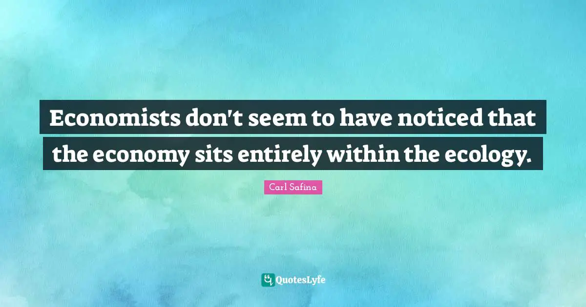 Economists don't seem to have noticed that the economy sits entirely within the ecology.