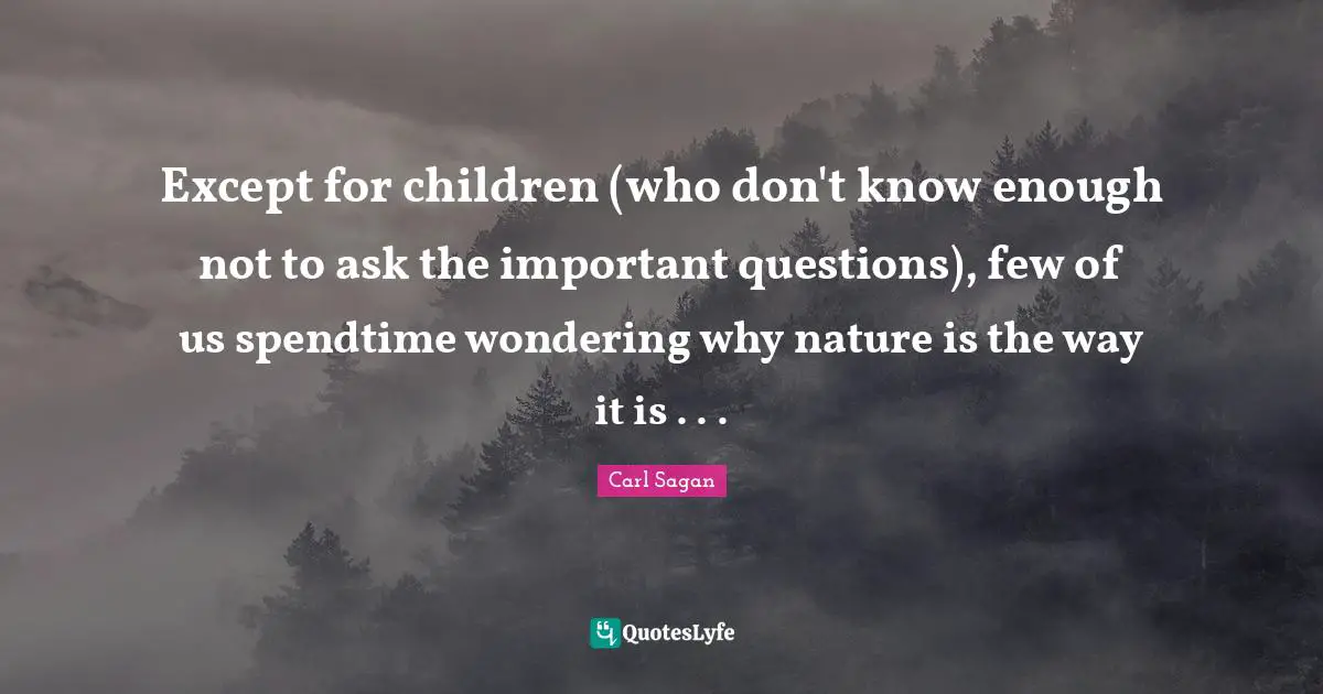 Except for children (who don't know enough not to ask the important questions), few of us spendtime wondering why nature is the way it is . . .
