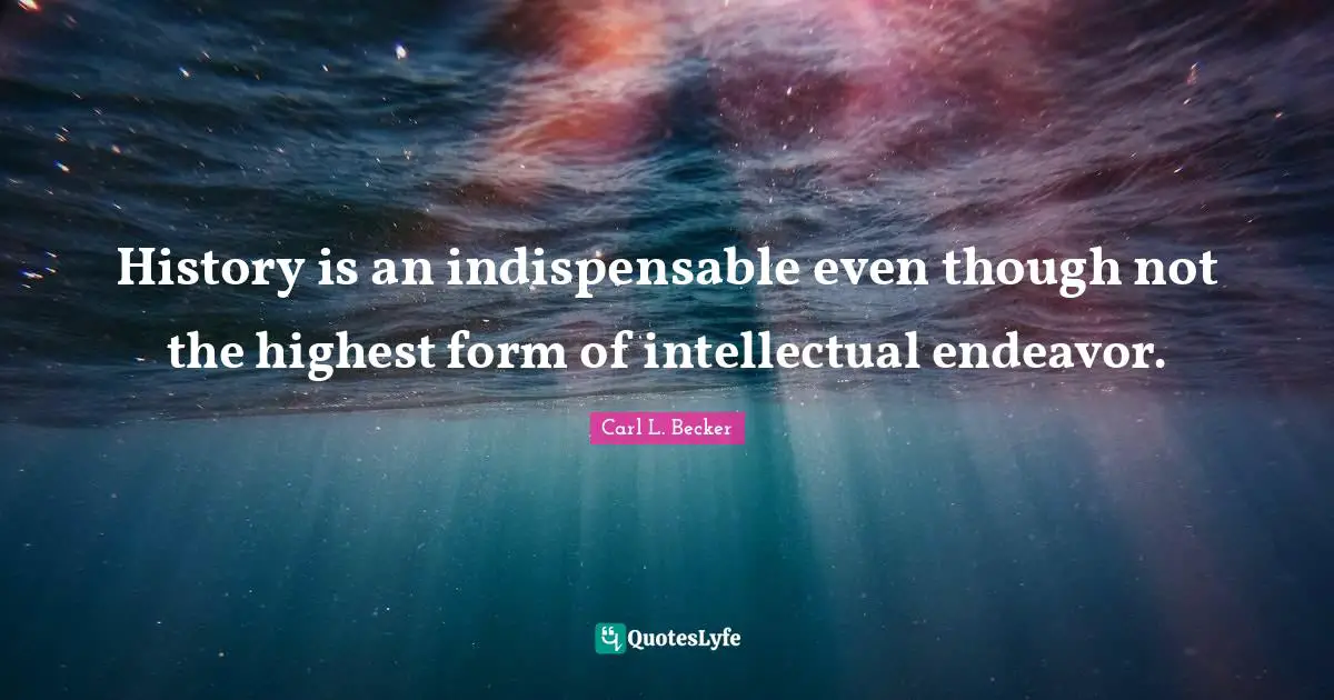 History is an indispensable even though not the highest form of intellectual endeavor.
