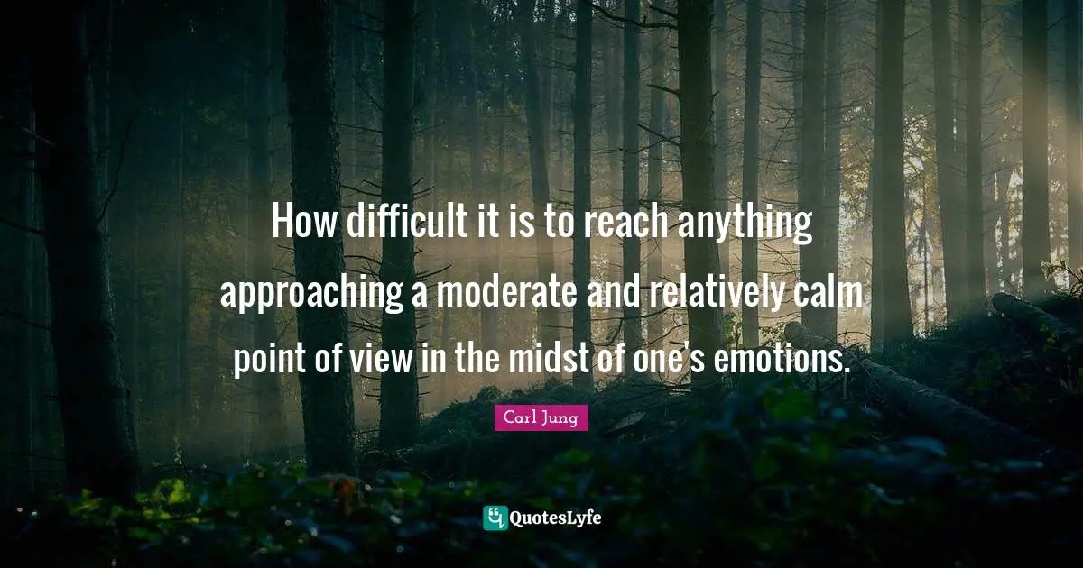 How difficult it is to reach anything approaching a moderate and relatively calm point of view in the midst of one's emotions.