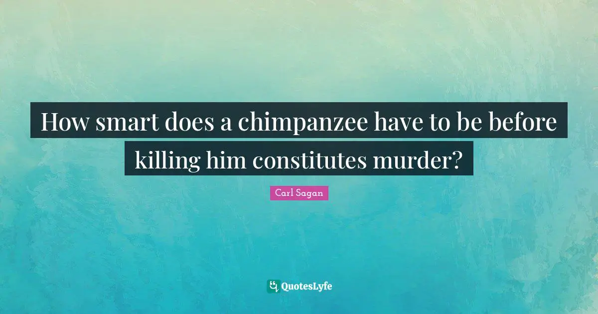 How smart does a chimpanzee have to be before killing him constitutes murder?