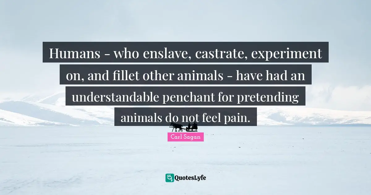 Humans - who enslave, castrate, experiment on, and fillet other animals - have had an understandable penchant for pretending animals do not feel pain.