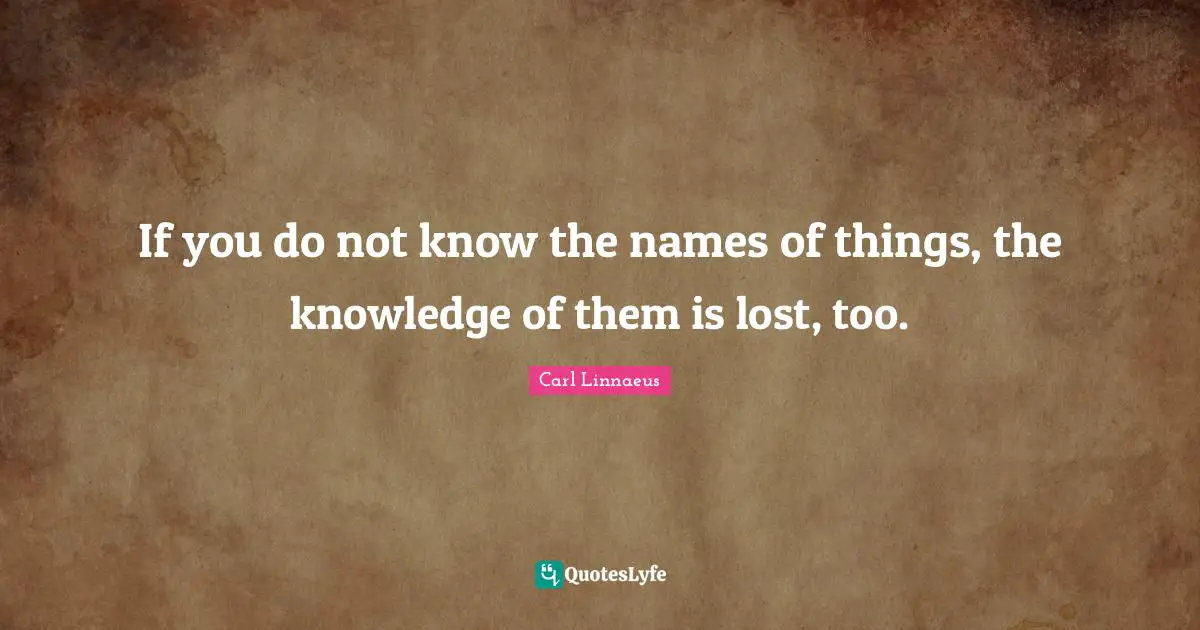 Names Quotes: "If you do not know the names of things, the knowledge of them is lost, too."