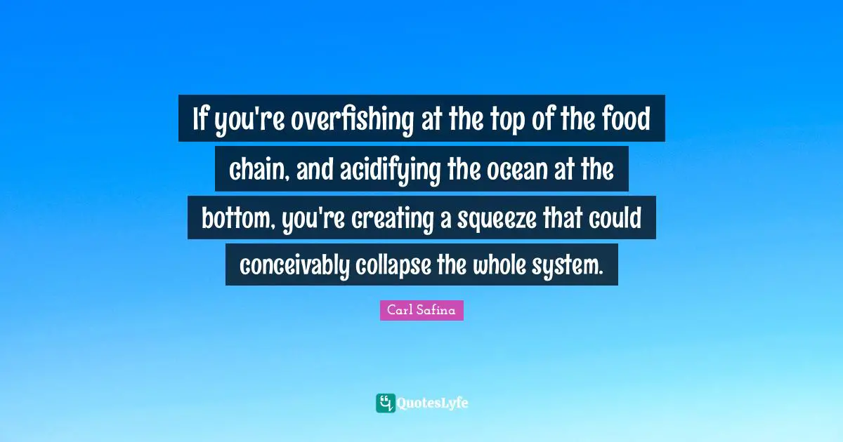 Creating Quotes: "If you're overfishing at the top of the food chain, and acidifying the ocean at the bottom, you're creating a squeeze that could conceivably collapse the whole system."