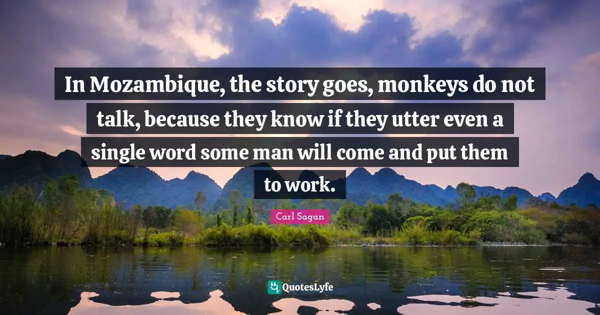 In Mozambique, the story goes, monkeys do not talk, because they know if they utter even a single word some man will come and put them to work.