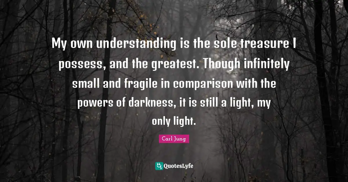 My own understanding is the sole treasure I possess, and the greatest. Though infinitely small and fragile in comparison with the powers of darkness, it is still a light, my only light.