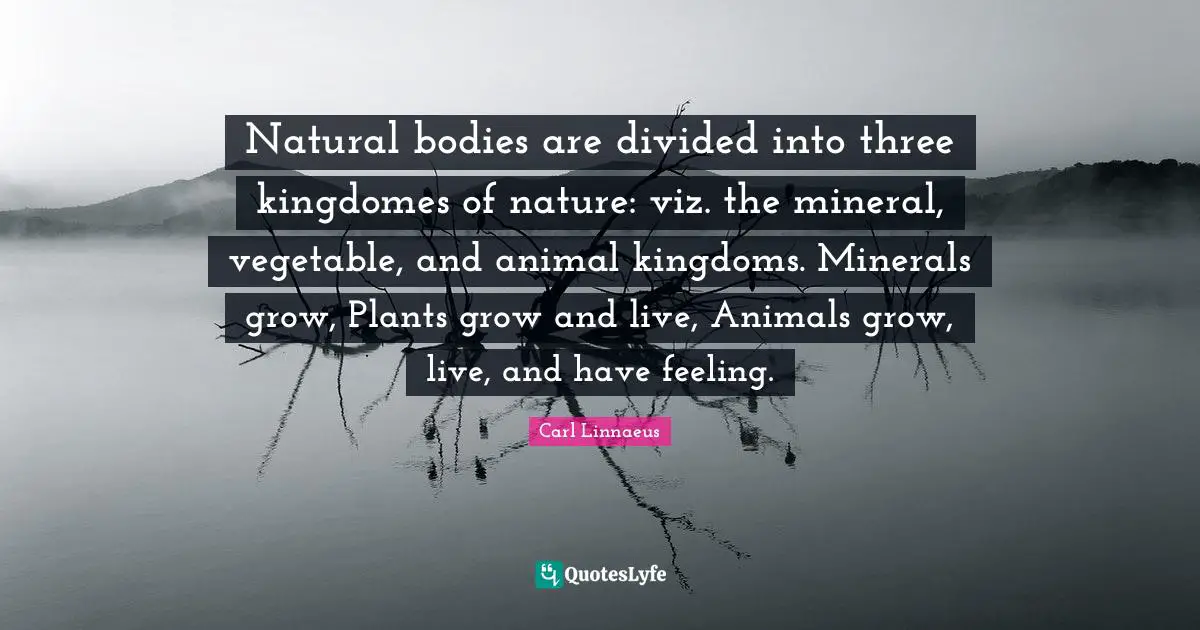 Divided Quotes: "Natural bodies are divided into three kingdomes of nature: viz. the mineral, vegetable, and animal kingdoms. Minerals grow, Plants grow and live, Animals grow, live, and have feeling."