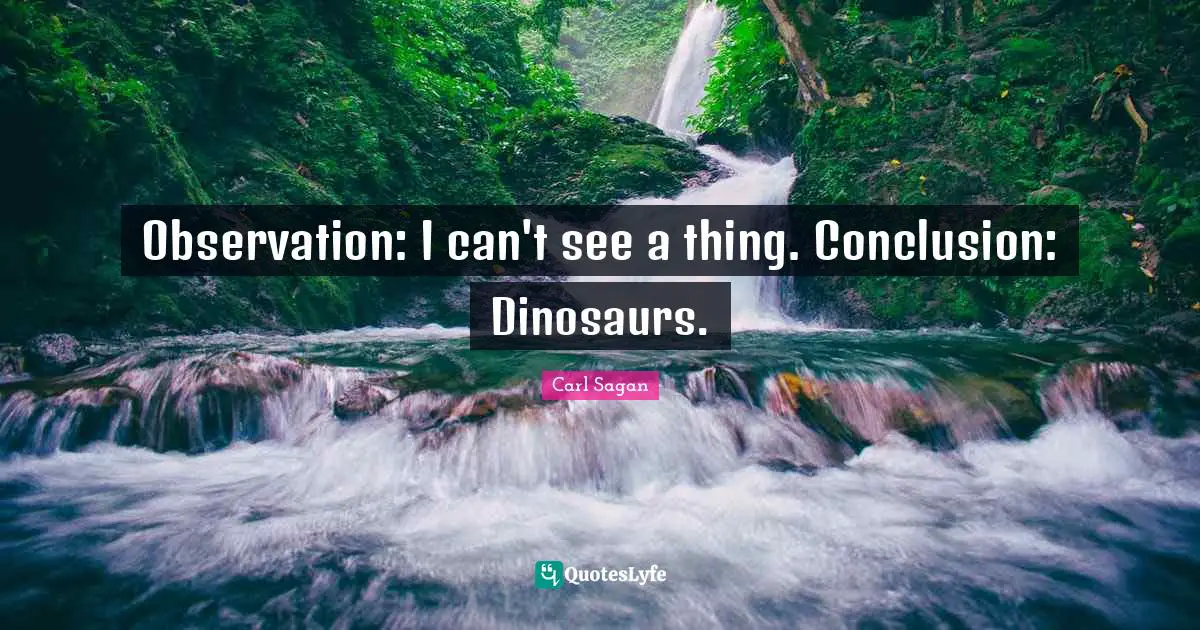 Observation: I can't see a thing. Conclusion: Dinosaurs.