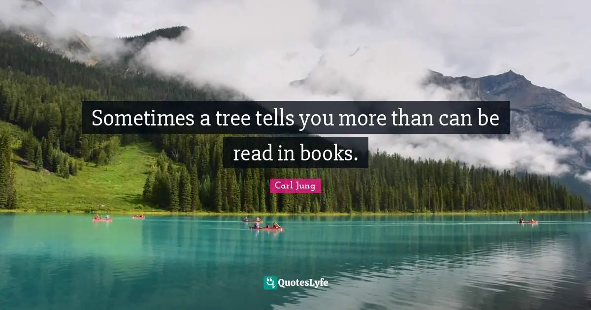 Sometimes a tree tells you more than can be read in books.