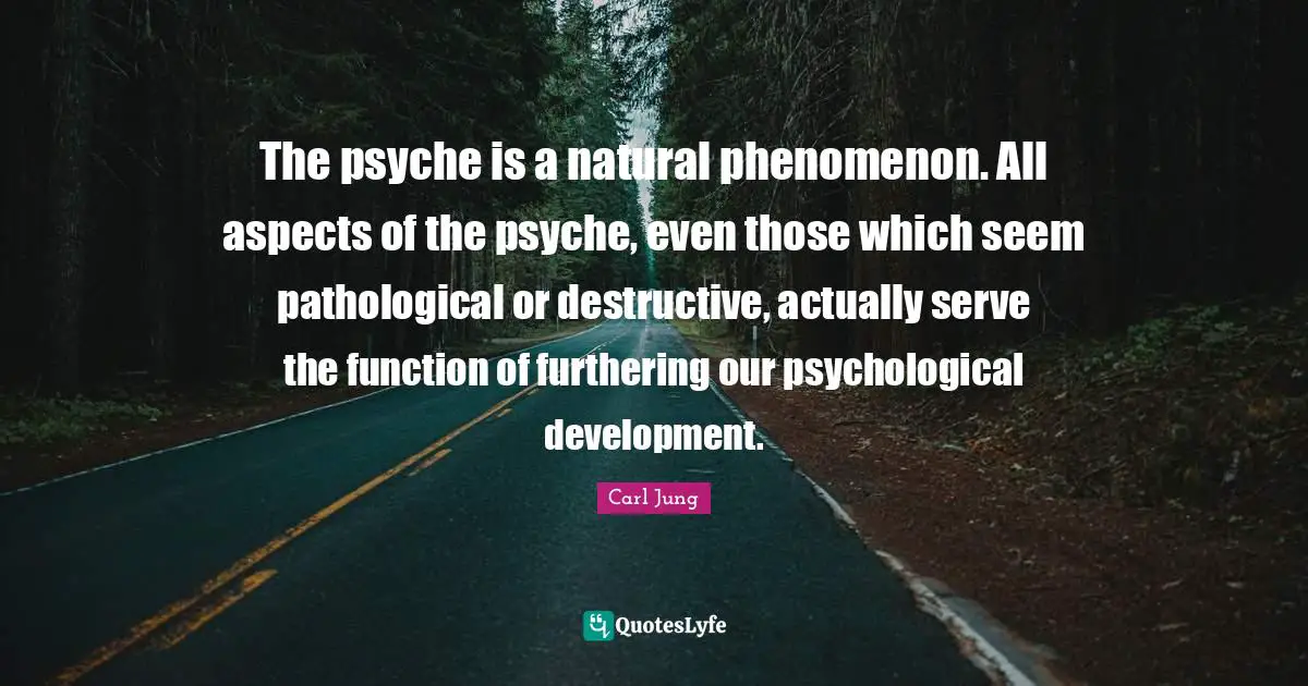 The psyche is a natural phenomenon. All aspects of the psyche, even those which seem pathological or destructive, actually serve the function of furthering our psychological development.