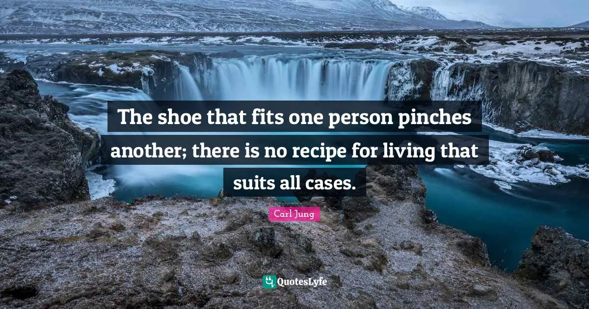 Shoes Quotes: "The shoe that fits one person pinches another; there is no recipe for living that suits all cases."
