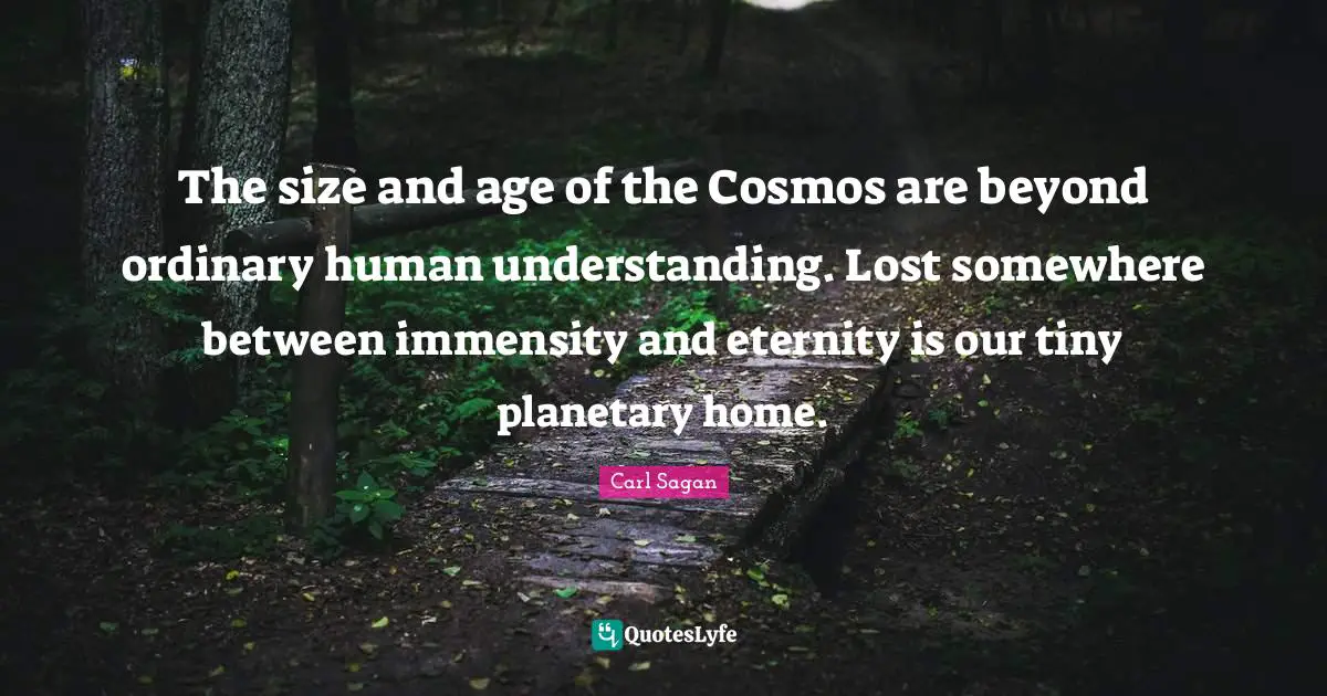 The size and age of the Cosmos are beyond ordinary human understanding. Lost somewhere between immensity and eternity is our tiny planetary home.