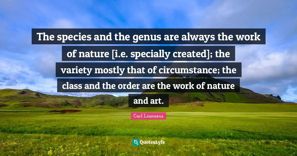 The species and the genus are always the work of nature [i.e. specially created]; the variety mostly that of circumstance; the class and the order are the work of nature and art.