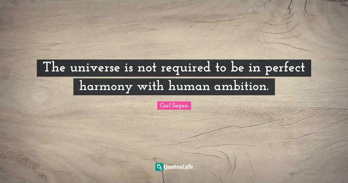 The universe is not required to be in perfect harmony with human ambition.