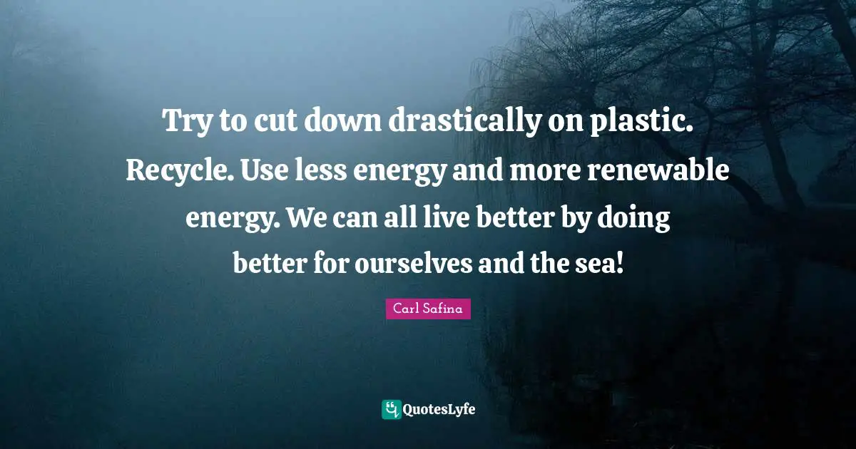 Try to cut down drastically on plastic. Recycle. Use less energy and more renewable energy. We can all live better by doing better for ourselves and the sea!