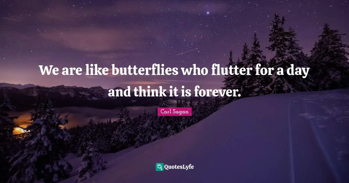 We are like butterflies who flutter for a day and think it is forever.