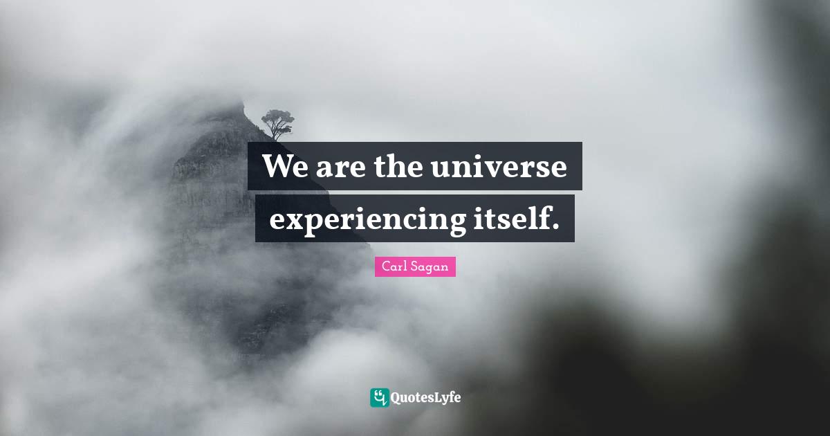 We are the universe experiencing itself.