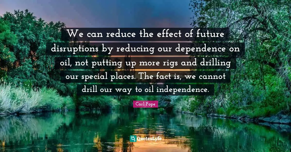 Rigs Quotes: "We can reduce the effect of future disruptions by reducing our dependence on oil, not putting up more rigs and drilling our special places. The fact is, we cannot drill our way to oil independence."