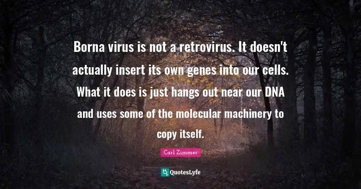 Borna virus is not a retrovirus. It doesn't actually insert its own genes into our cells. What it does is just hangs out near our DNA and uses some of the molecular machinery to copy itself.