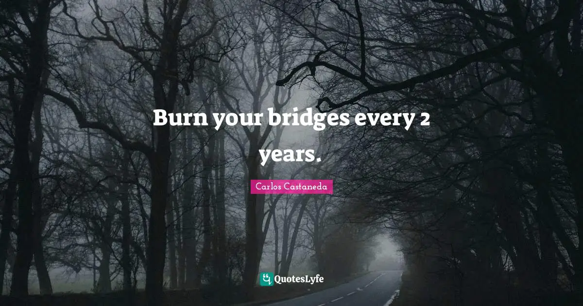 Burn your bridges every 2 years.