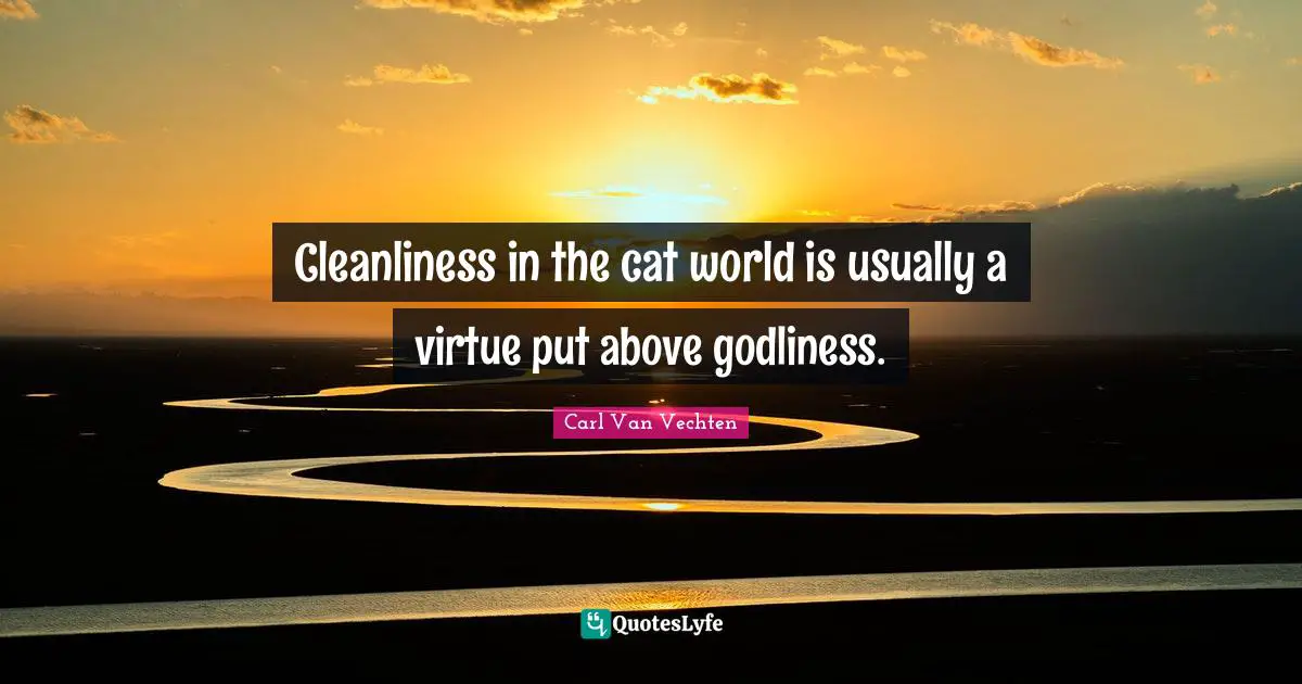 Cleanliness in the cat world is usually a virtue put above godliness.