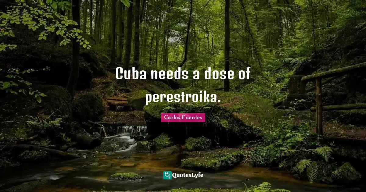 Cuba needs a dose of perestroika.
