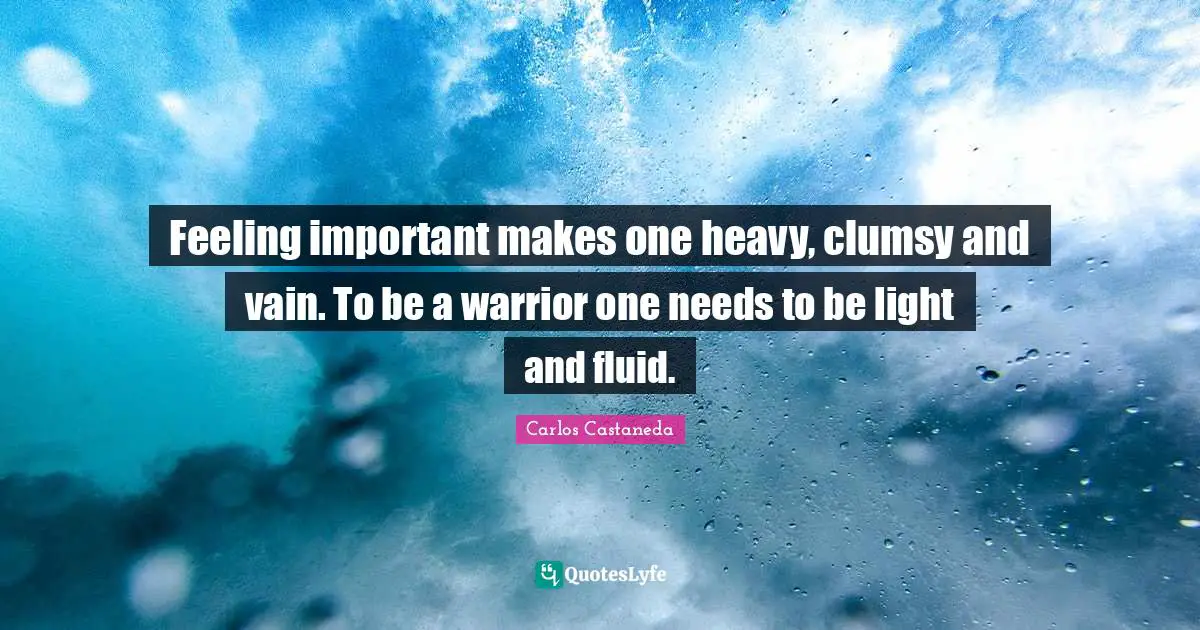 Clumsy Quotes: "Feeling important makes one heavy, clumsy and vain. To be a warrior one needs to be light and fluid."