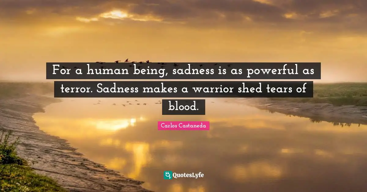 For a human being, sadness is as powerful as terror. Sadness makes a warrior shed tears of blood.