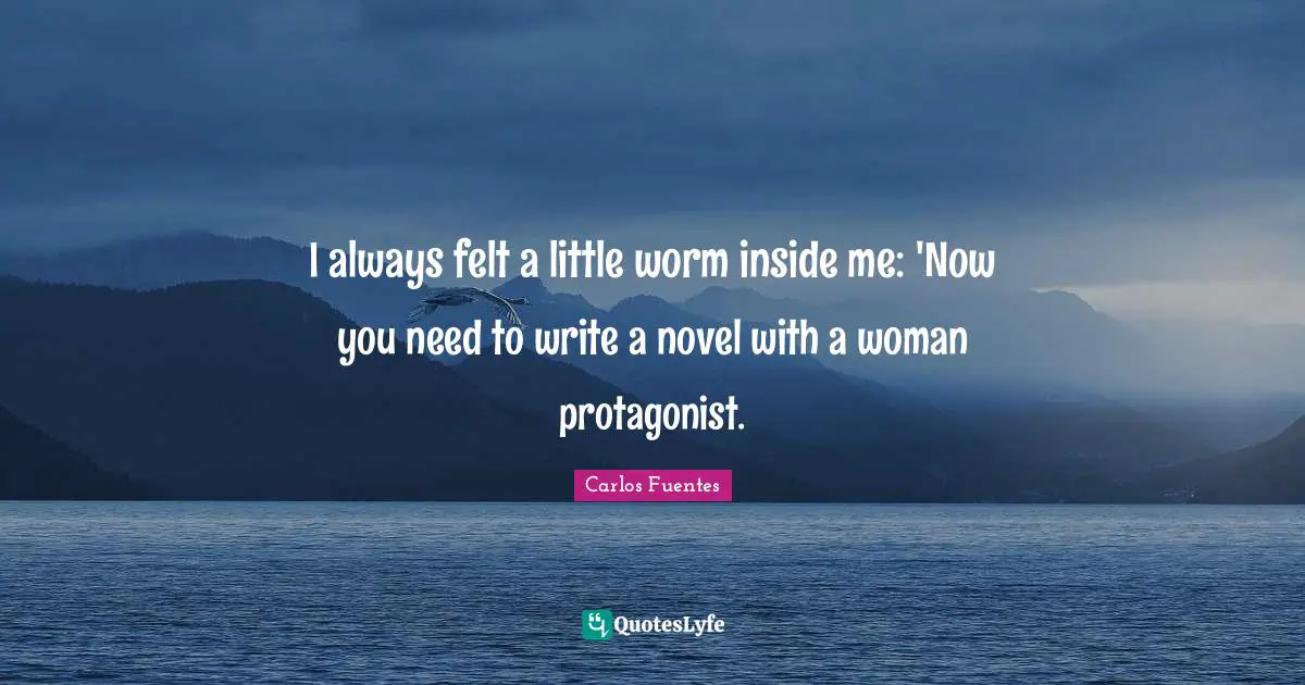 I always felt a little worm inside me: 'Now you need to write a novel with a woman protagonist.