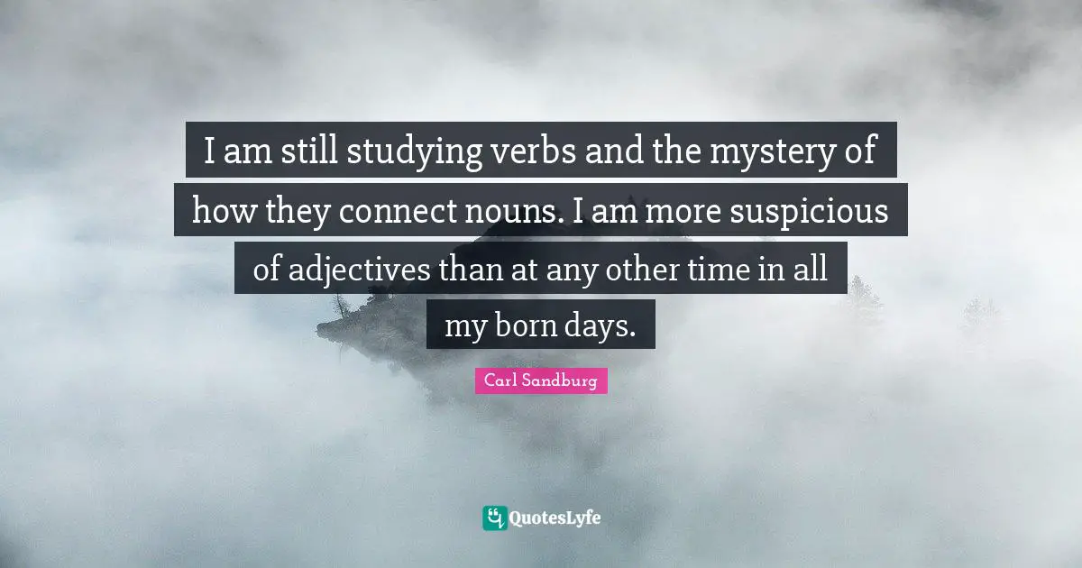 I am still studying verbs and the mystery of how they connect nouns. I am more suspicious of adjectives than at any other time in all my born days.