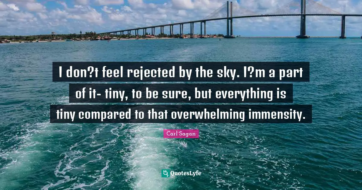 I don?t feel rejected by the sky. I?m a part of it- tiny, to be sure, but everything is tiny compared to that overwhelming immensity.