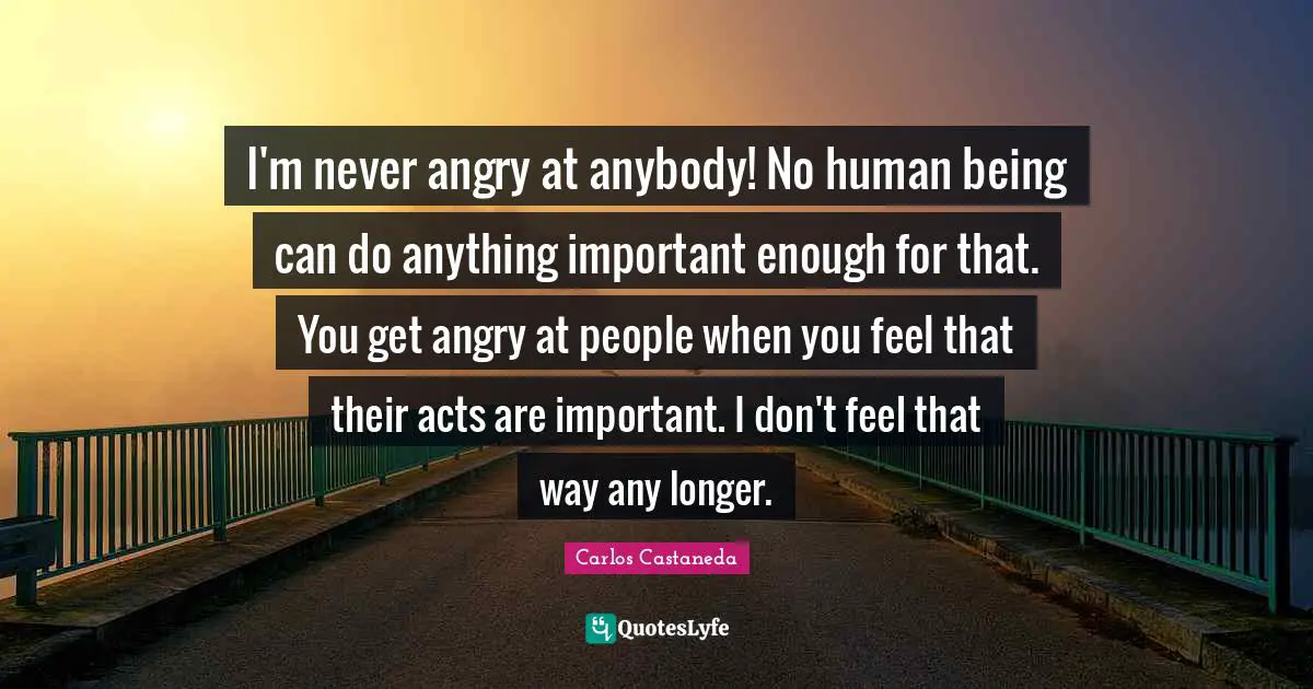 I'm never angry at anybody! No human being can do anything important enough for that. You get angry at people when you feel that their acts are important. I don't feel that way any longer.