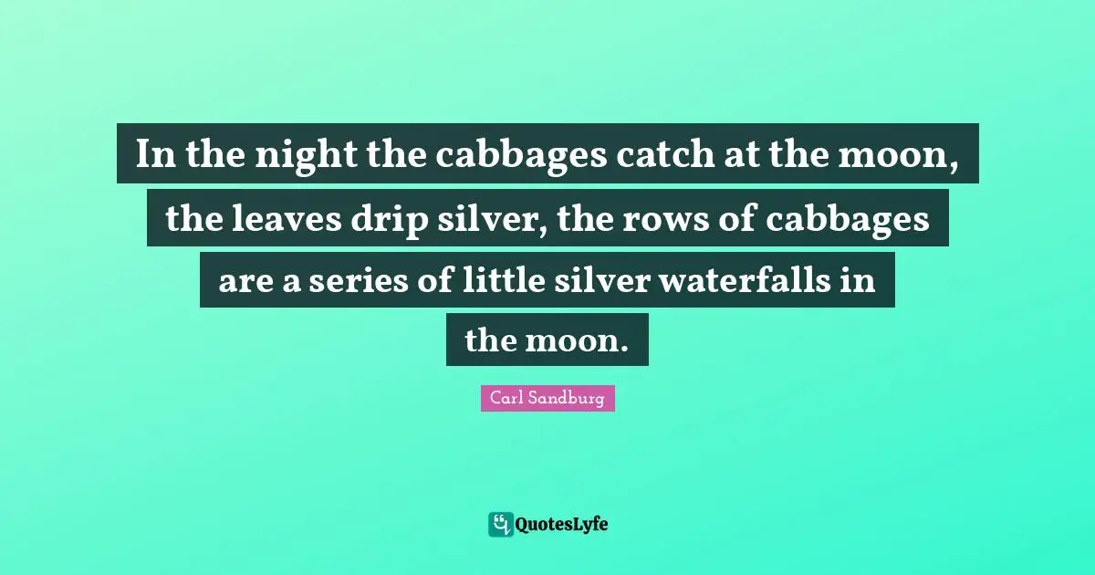 In the night the cabbages catch at the moon, the leaves drip silver, the rows of cabbages are a series of little silver waterfalls in the moon.