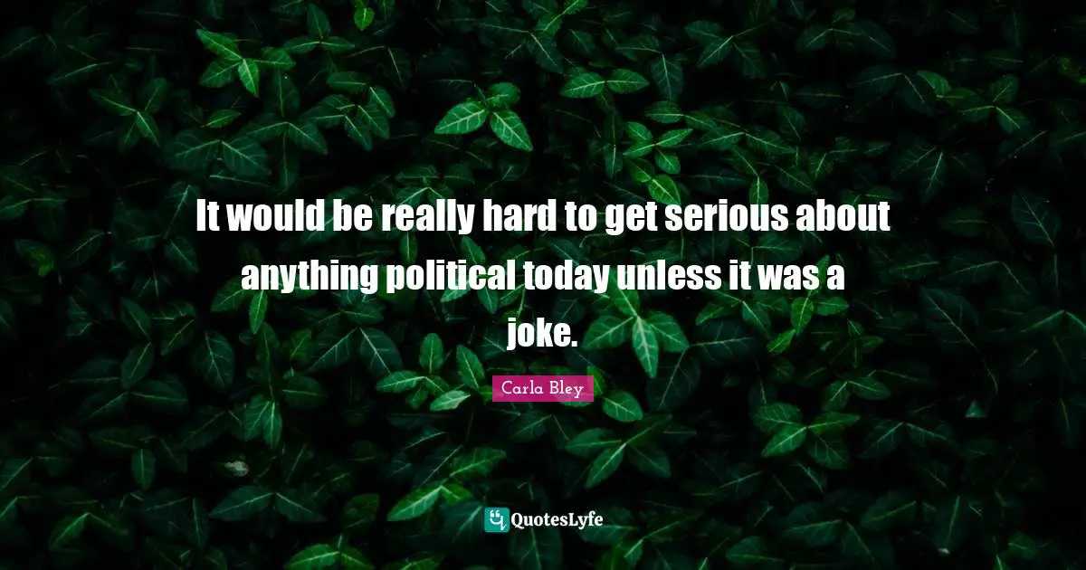 It would be really hard to get serious about anything political today unless it was a joke.