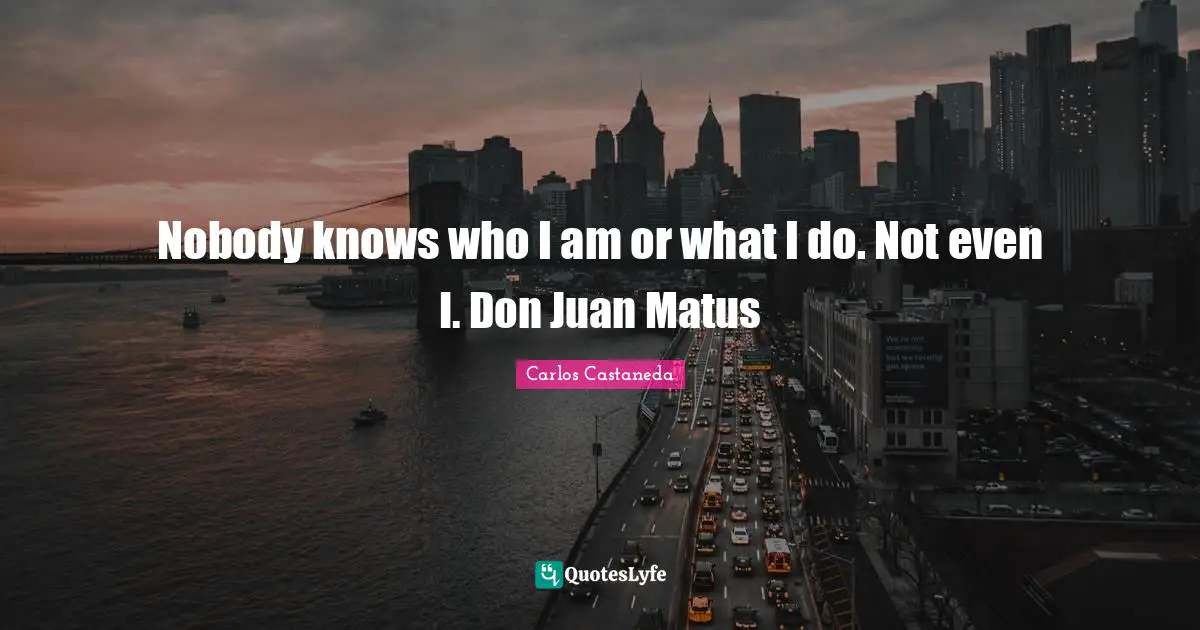 Nobody knows who I am or what I do. Not even I. Don Juan Matus
