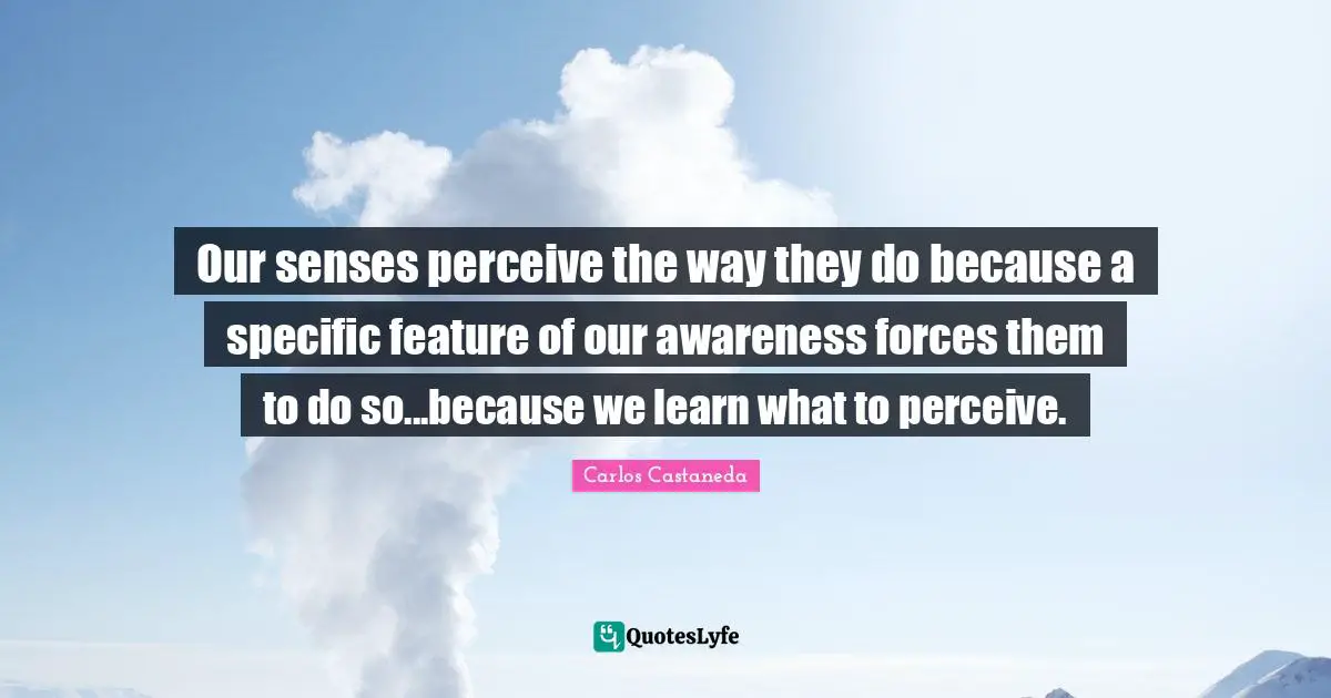 Our senses perceive the way they do because a specific feature of our awareness forces them to do so...because we learn what to perceive.