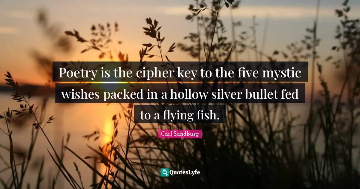 Poetry is the cipher key to the five mystic wishes packed in a hollow silver bullet fed to a flying fish.