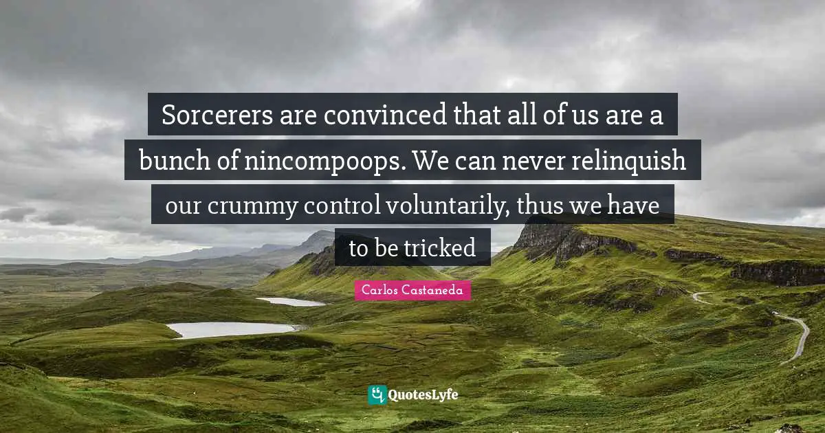 Sorcerers are convinced that all of us are a bunch of nincompoops. We can never relinquish our crummy control voluntarily, thus we have to be tricked