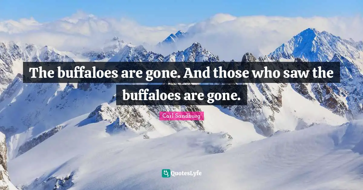 The buffaloes are gone. And those who saw the buffaloes are gone.