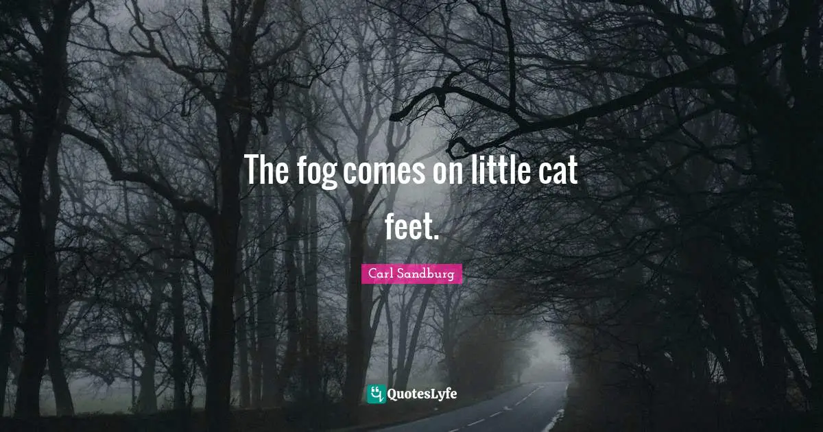 Carl Sandburg Quotes: "The fog comes on little cat feet."
