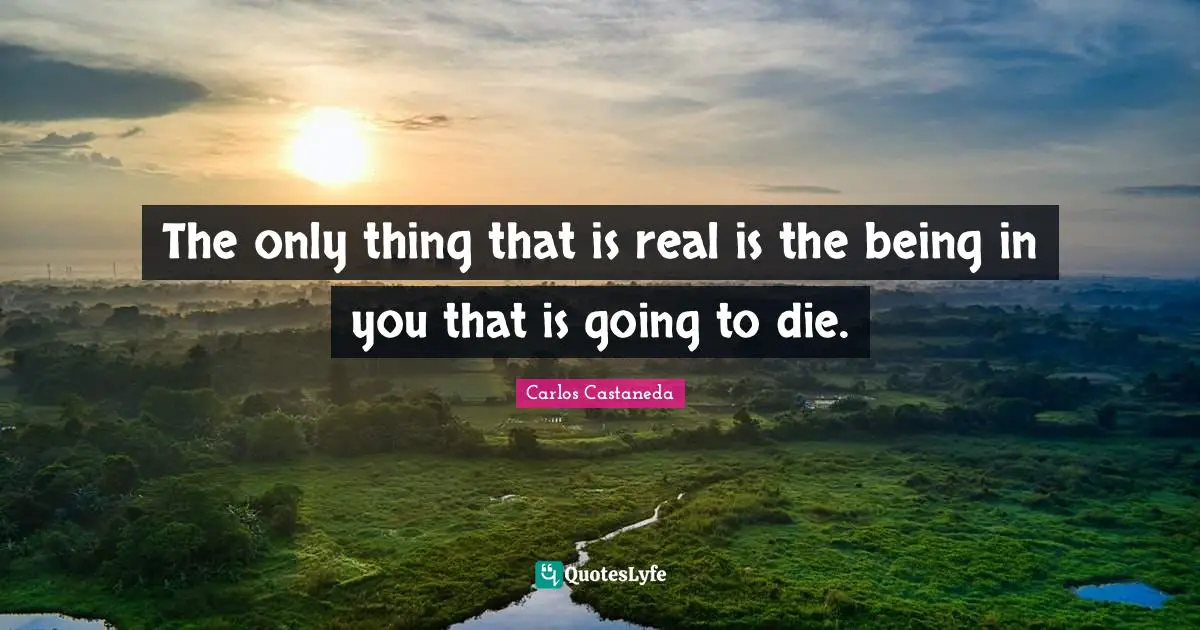 The only thing that is real is the being in you that is going to die.