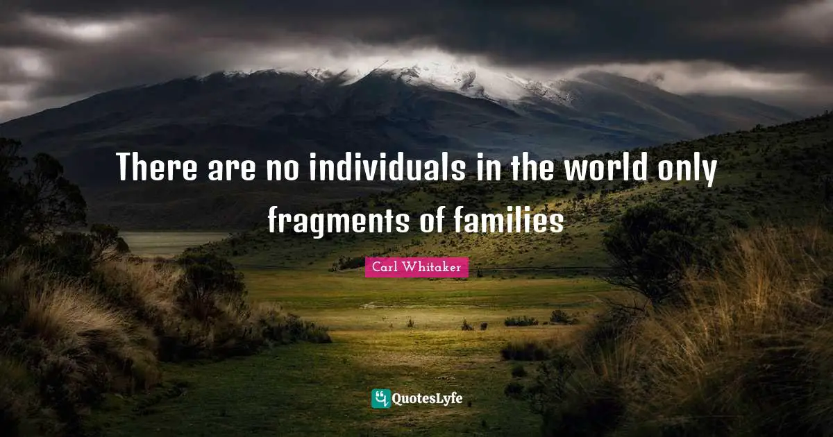 There are no individuals in the world only fragments of families