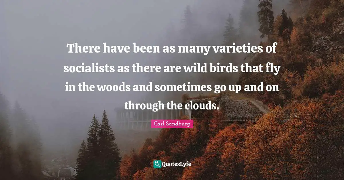 There have been as many varieties of socialists as there are wild birds that fly in the woods and sometimes go up and on through the clouds.