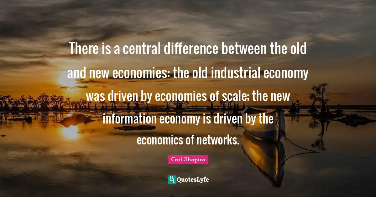There is a central difference between the old and new economies: the old industrial economy was driven by economies of scale; the new information economy is driven by the economics of networks.