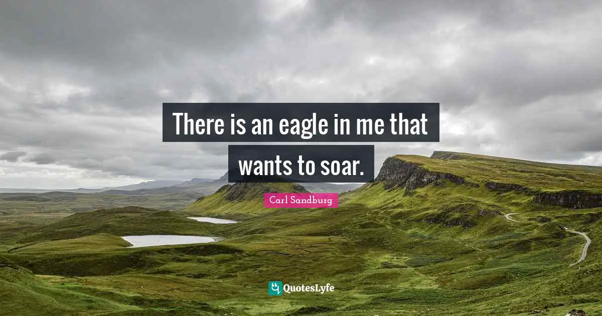 There is an eagle in me that wants to soar.