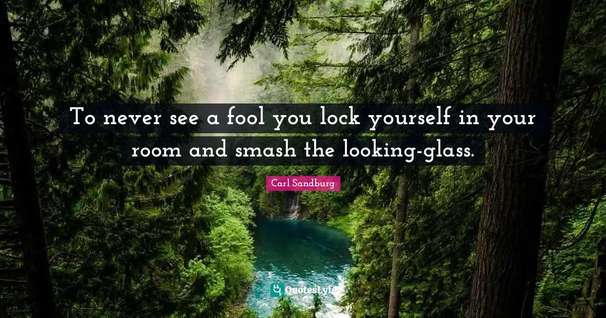 To never see a fool you lock yourself in your room and smash the looking-glass.
