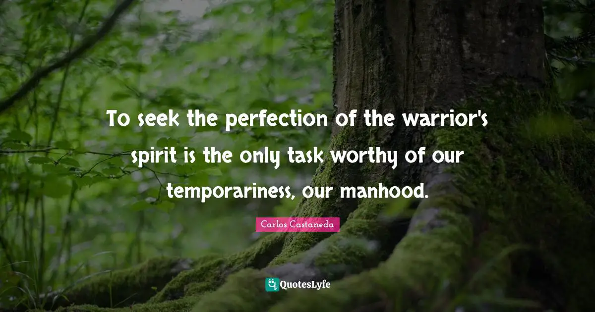 To seek the perfection of the warrior's spirit is the only task worthy of our temporariness, our manhood.
