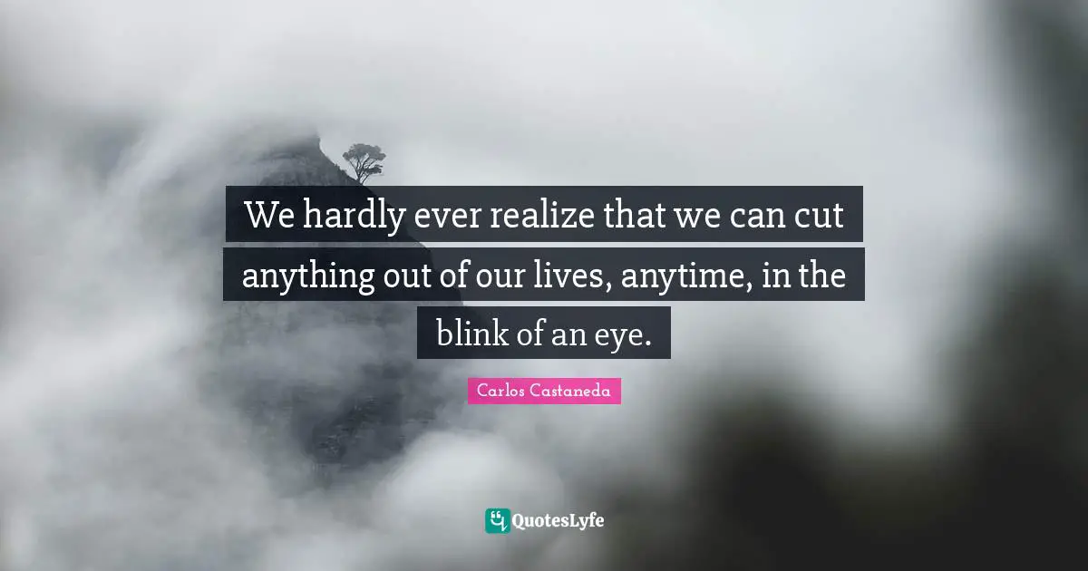 Our Lives Quotes: "We hardly ever realize that we can cut anything out of our lives, anytime, in the blink of an eye."